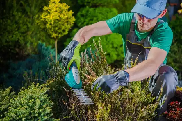 landscaping services Hilliard